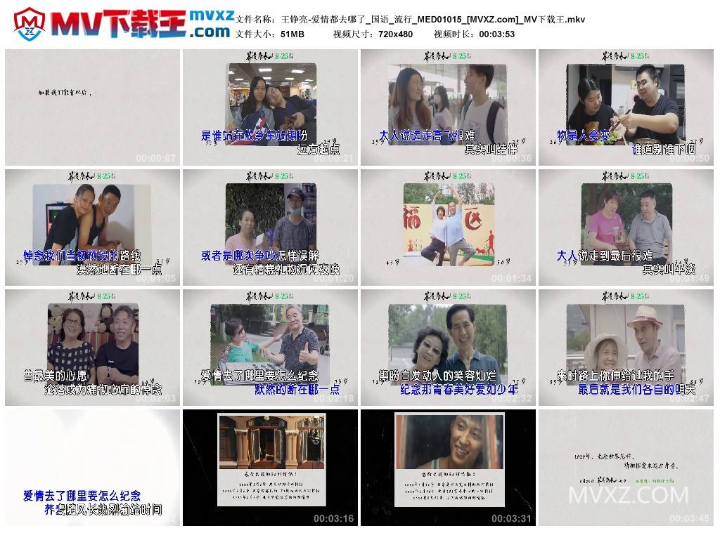 王铮亮-爱情都去哪了_国语_流行_MED01015